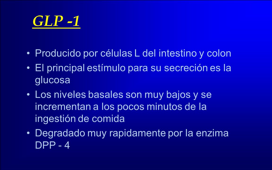 GLP -1 Producido por células L del intestino y colon