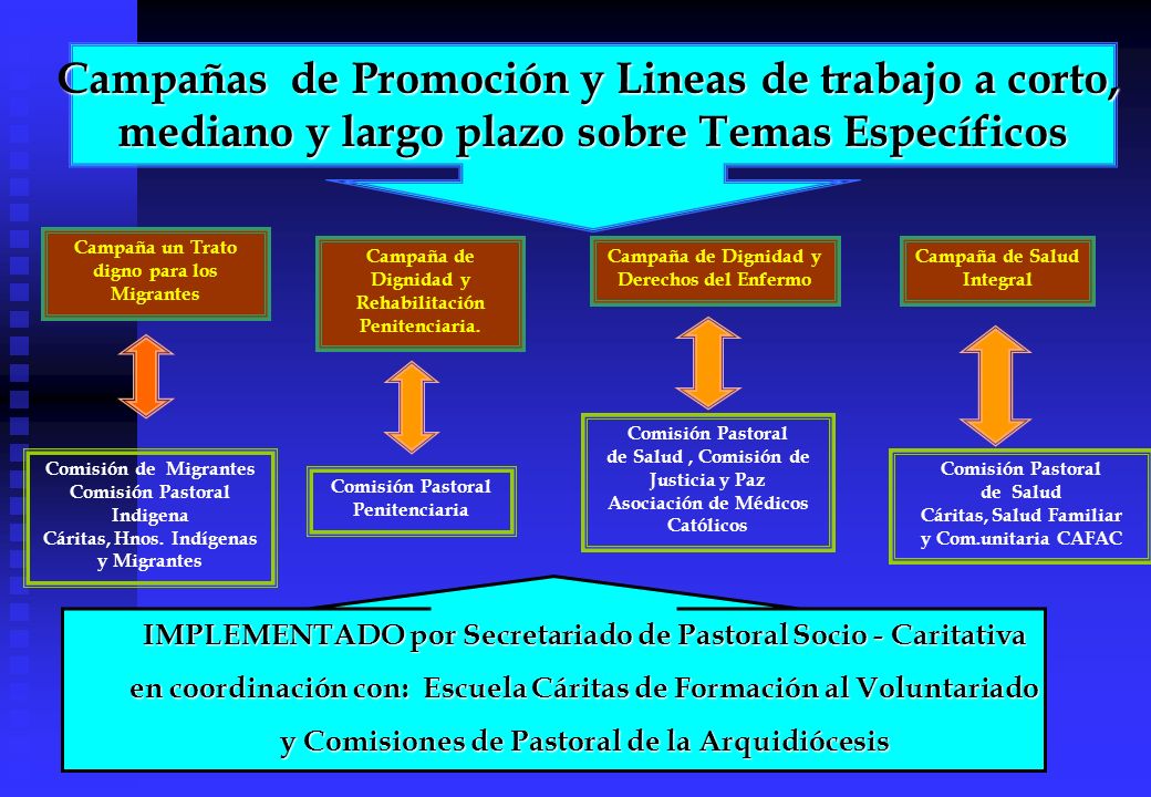 Campañas de Promoción y Lineas de trabajo a corto,