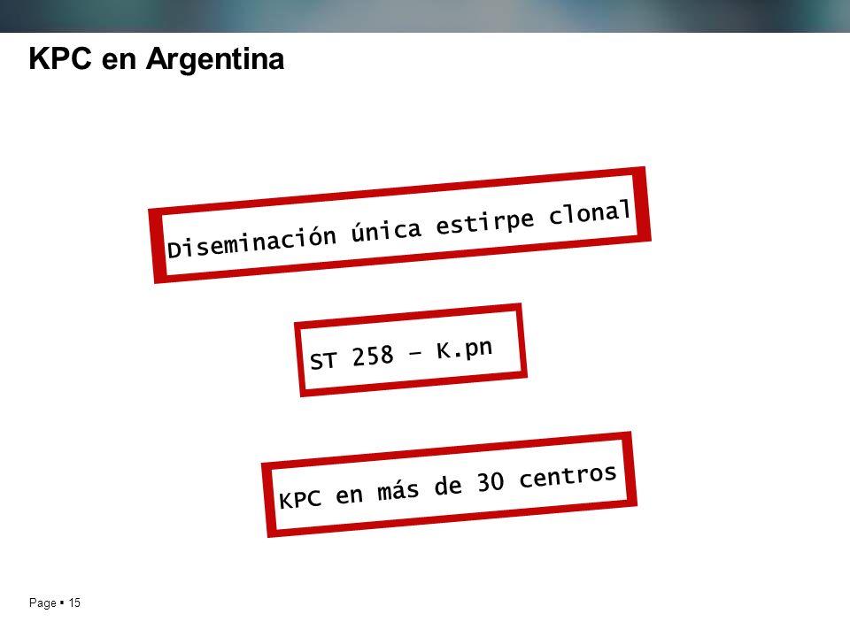 KPC en Argentina Diseminación única estirpe clonal ST 258 – K.pn