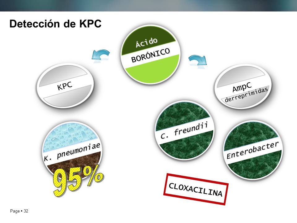 95% Detección de KPC BORÓNICO KPC AmpC CLOXACILINA Ácido C. freundii