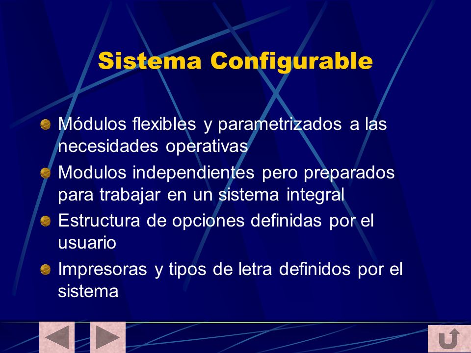 Sistema Configurable Módulos flexibles y parametrizados a las necesidades operativas.