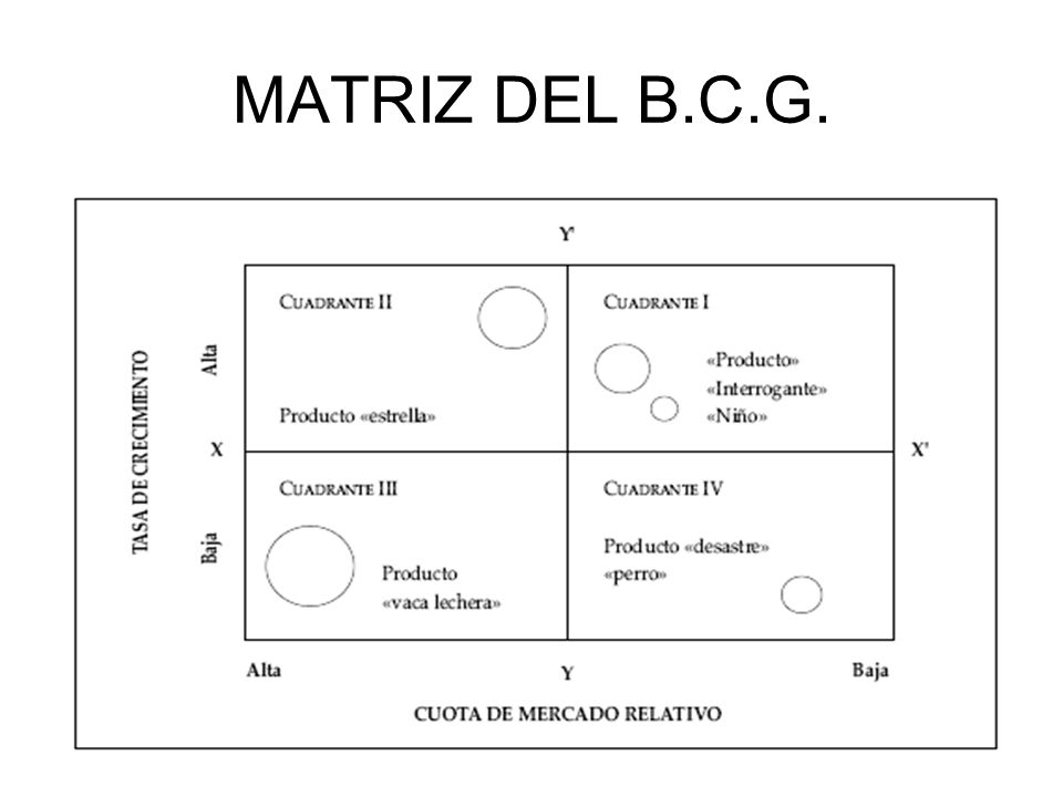 MATRIZ DEL B.C.G.