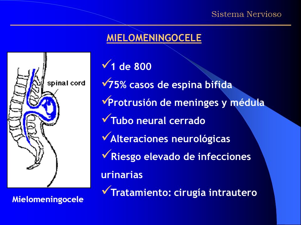 75% casos de espina bifida Protrusión de meninges y médula