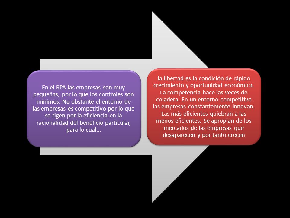 En el RPA las empresas son muy pequeñas, por lo que los controles son mínimos. No obstante el entorno de las empresas es competitivo por lo que se rigen por la eficiencia en la racionalidad del beneficio particular, para lo cual...