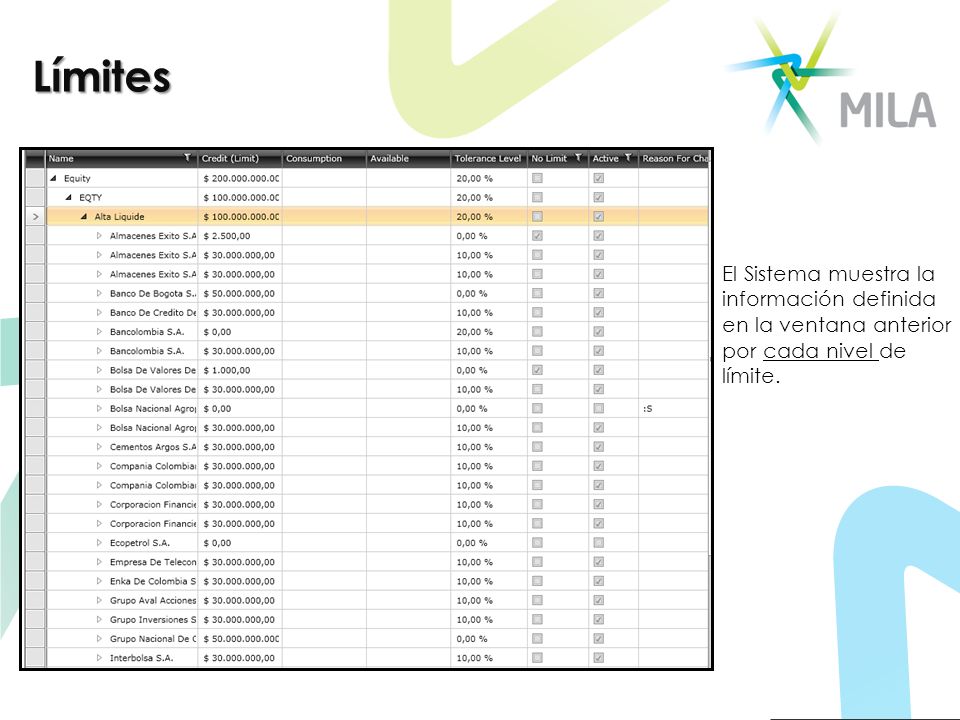 Límites El Sistema muestra la información definida en la ventana anterior por cada nivel de límite.