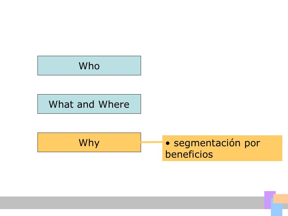 Who What and Where Why segmentación por beneficios