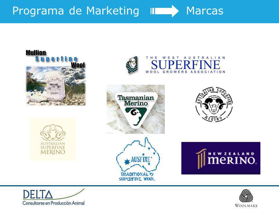 Programa de Marketing Marcas