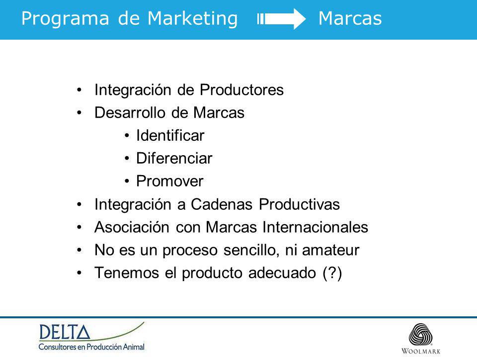 Programa de Marketing Marcas