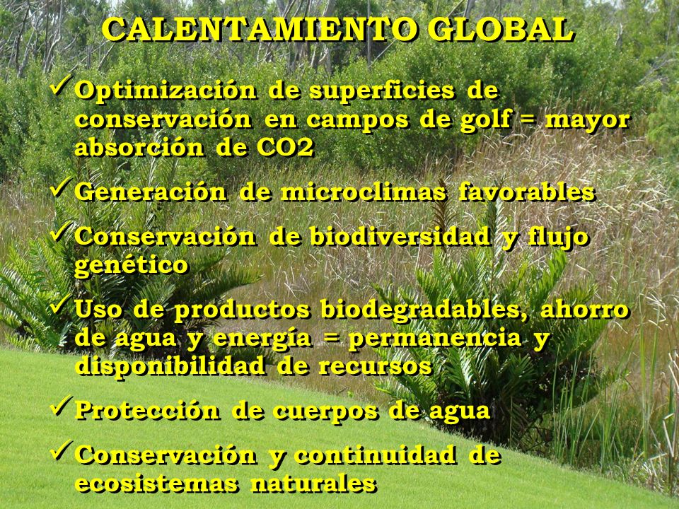 CALENTAMIENTO GLOBAL Optimización de superficies de conservación en campos de golf = mayor absorción de CO2.