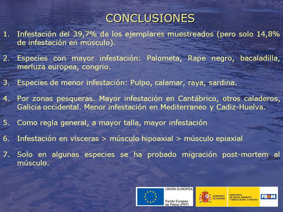 CONCLUSIONES Infestación del 39,7% de los ejemplares muestreados (pero solo 14,8% de infestación en músculo).