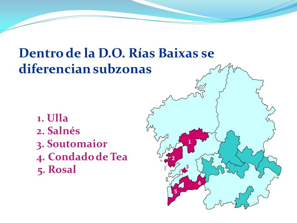 Dentro de la D. O. Rías Baixas se diferencian subzonas 1. Ulla 2