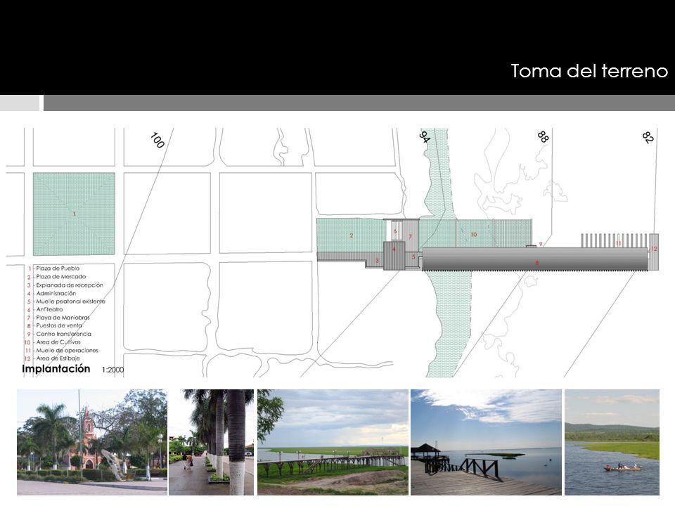 Toma del terreno