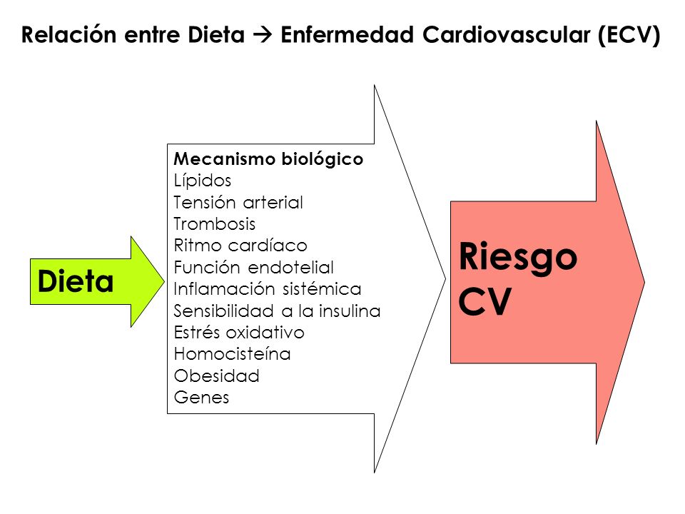 Riesgo CV Dieta Relación entre Dieta  Enfermedad Cardiovascular (ECV)