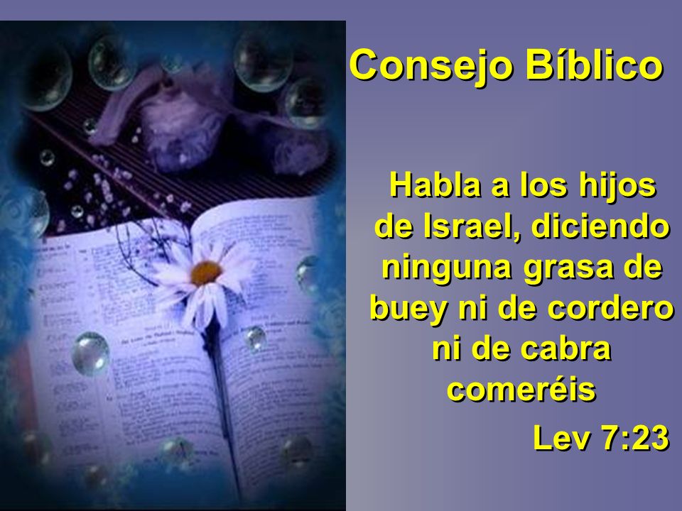 Consejo Bíblico Habla a los hijos de Israel, diciendo ninguna grasa de buey ni de cordero ni de cabra comeréis.