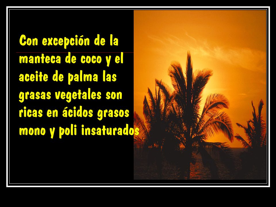 Con excepción de la manteca de coco y el aceite de palma las grasas vegetales son ricas en ácidos grasos mono y poli insaturados