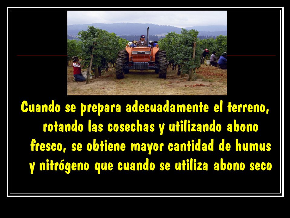 Cuando se prepara adecuadamente el terreno, rotando las cosechas y utilizando abono fresco, se obtiene mayor cantidad de humus y nitrógeno que cuando se utiliza abono seco