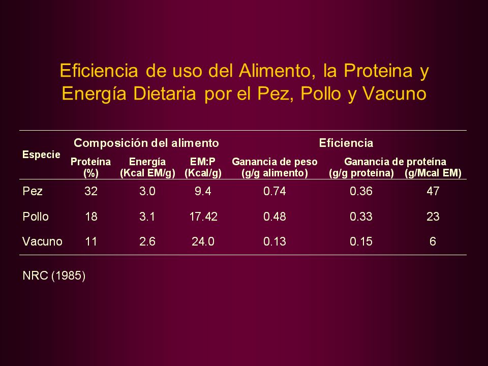 Eficiencia de uso del Alimento, la Proteina y Energía Dietaria por el Pez, Pollo y Vacuno