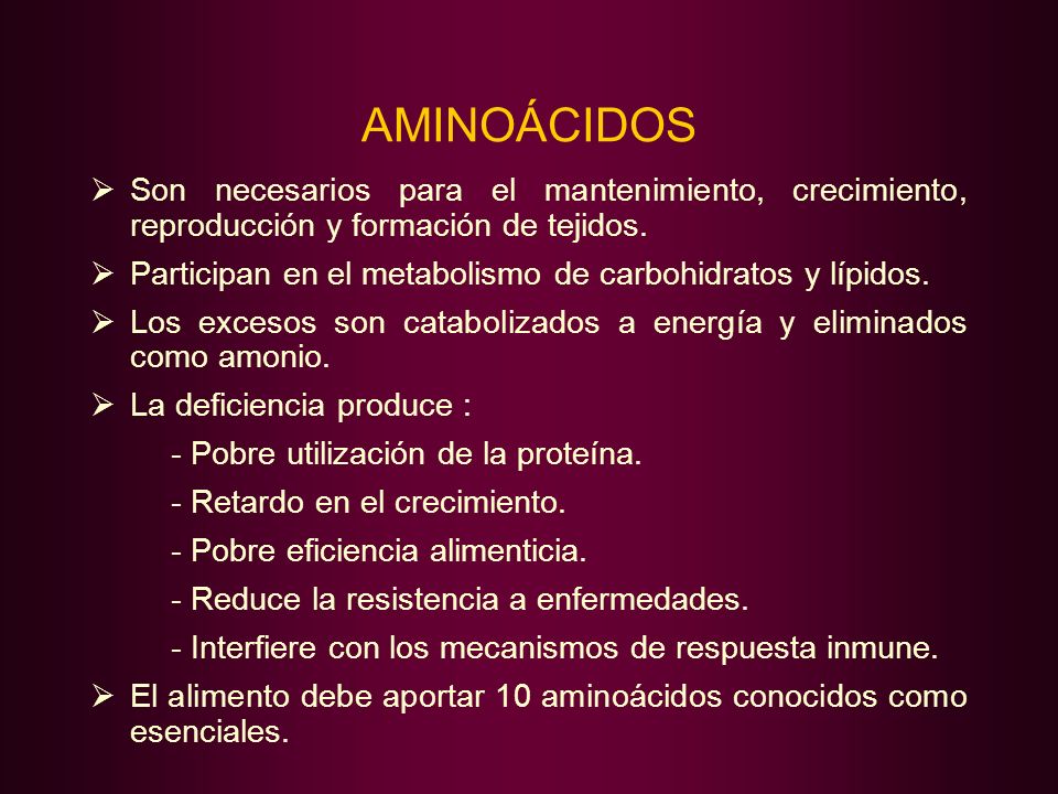 AMINOÁCIDOS Son necesarios para el mantenimiento, crecimiento, reproducción y formación de tejidos.