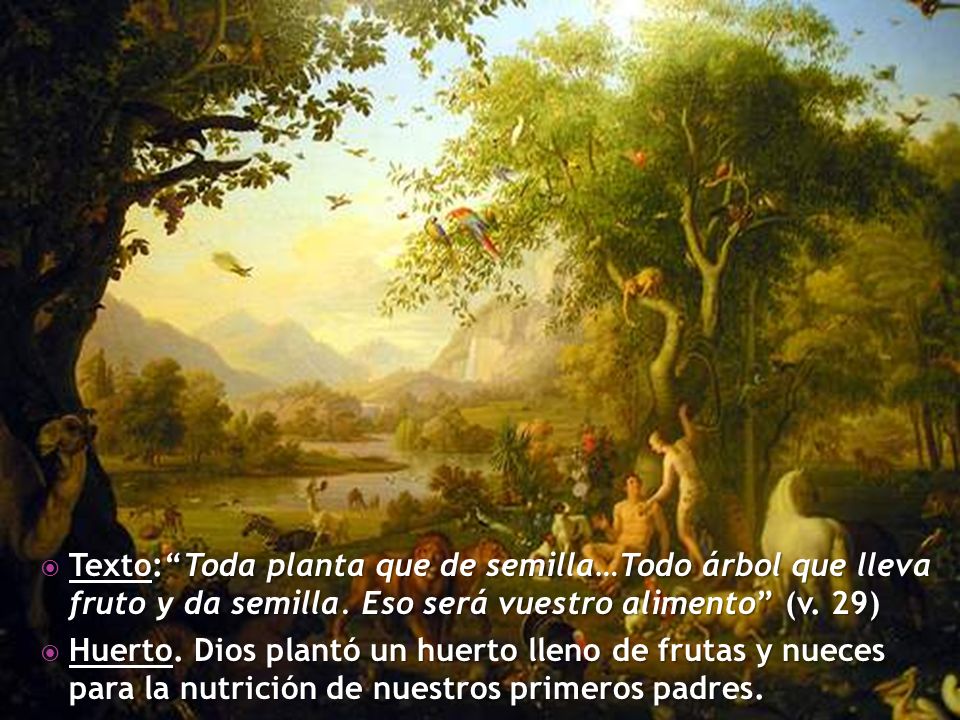 Texto: Toda planta que de semilla…Todo árbol que lleva fruto y da semilla. Eso será vuestro alimento (v. 29)