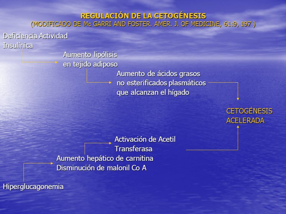 REGULACIÓN DE LA CETOGÉNESIS (MODIFICADO DE Mc GARRI AND FOSTER. AMER