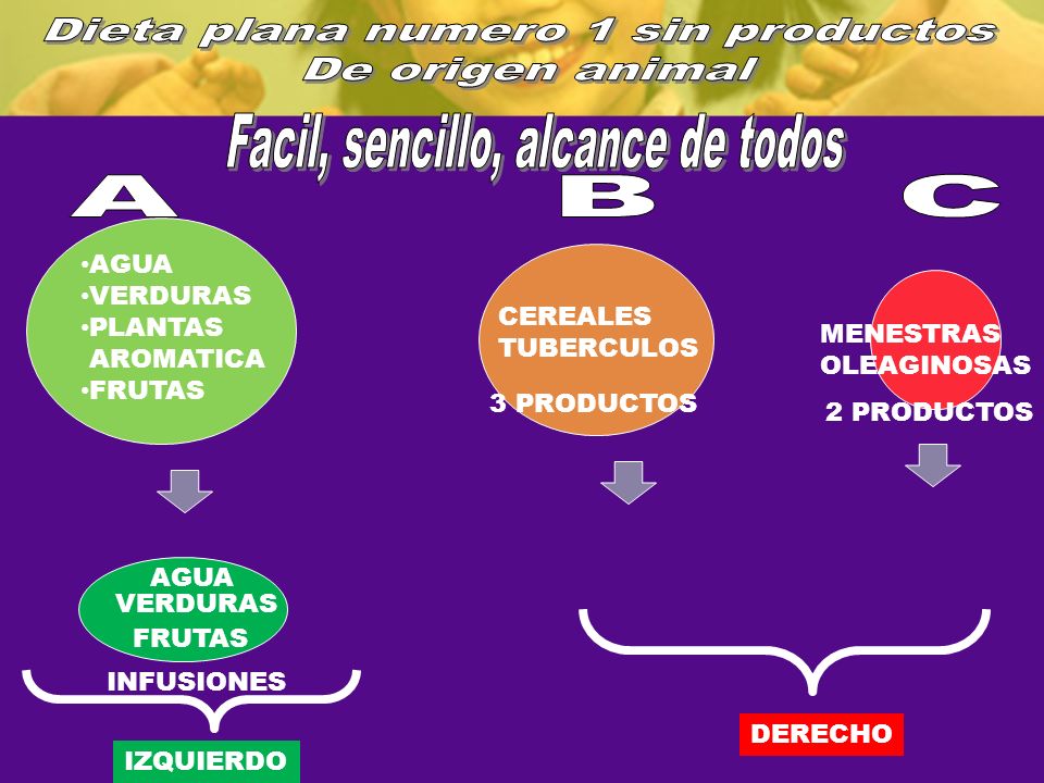 Dieta plana numero 1 sin productos De origen animal