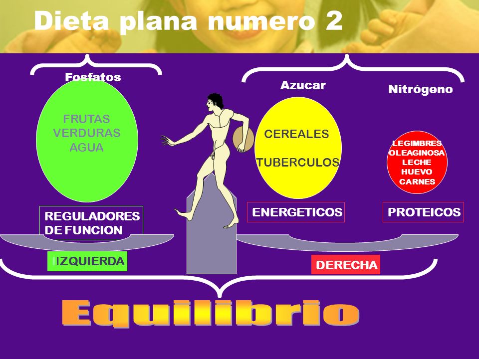 Dieta plana numero 2 Equilibrio Fosfatos FRUTAS VERDURAS AGUA Azucar
