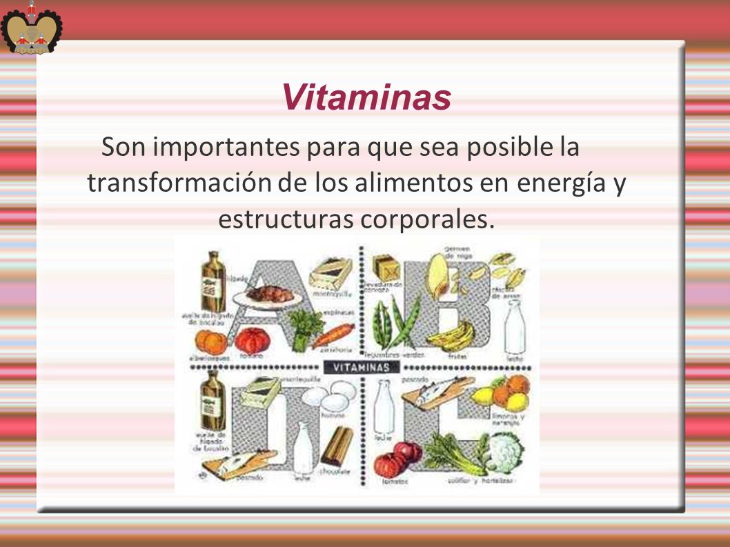 Vitaminas Son importantes para que sea posible la transformación de los alimentos en energía y estructuras corporales.