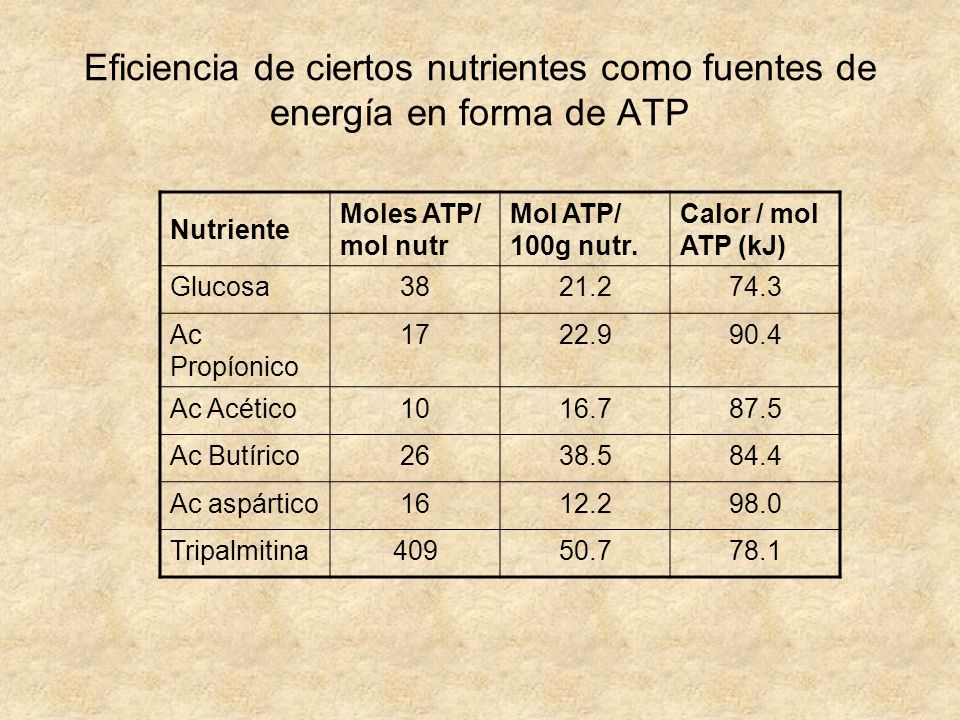 Eficiencia de ciertos nutrientes como fuentes de energía en forma de ATP