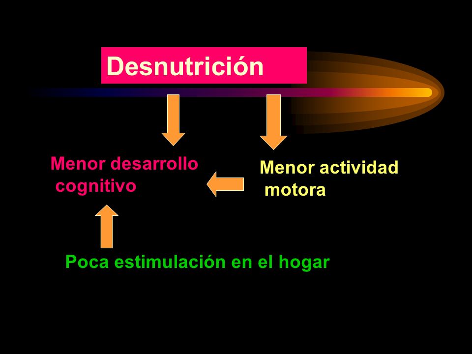 Desnutrición Menor desarrollo Menor actividad cognitivo motora