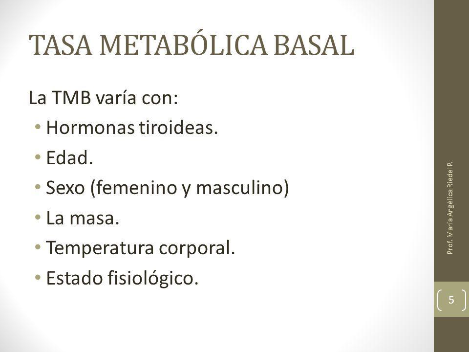 TASA METABÓLICA BASAL La TMB varía con: Hormonas tiroideas. Edad.