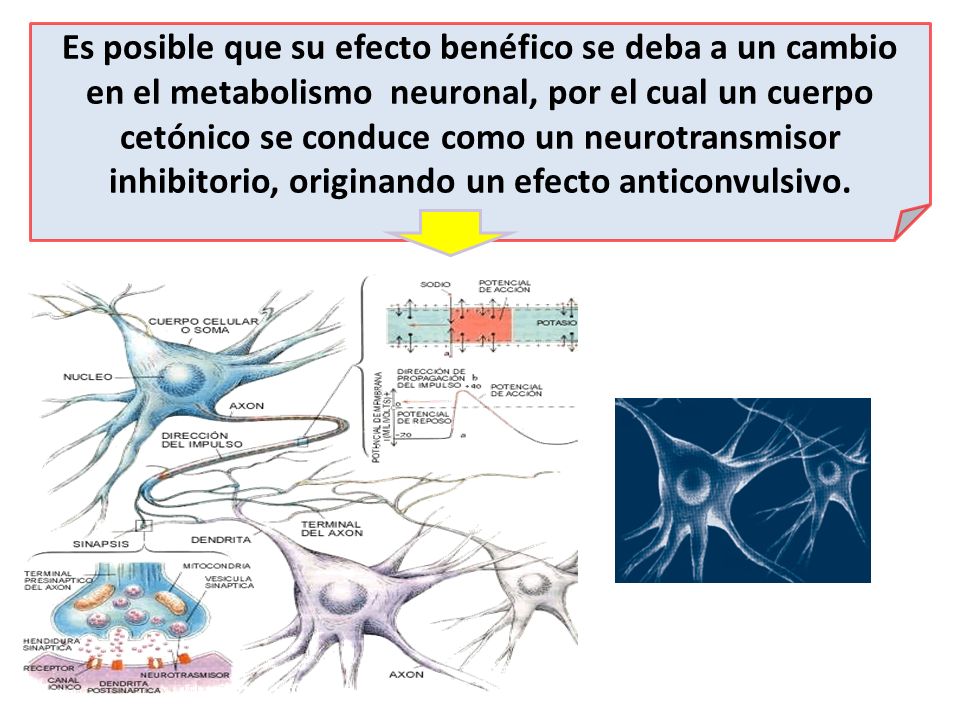 Es posible que su efecto benéfico se deba a un cambio en el metabolismo neuronal, por el cual un cuerpo cetónico se conduce como un neurotransmisor inhibitorio, originando un efecto anticonvulsivo.