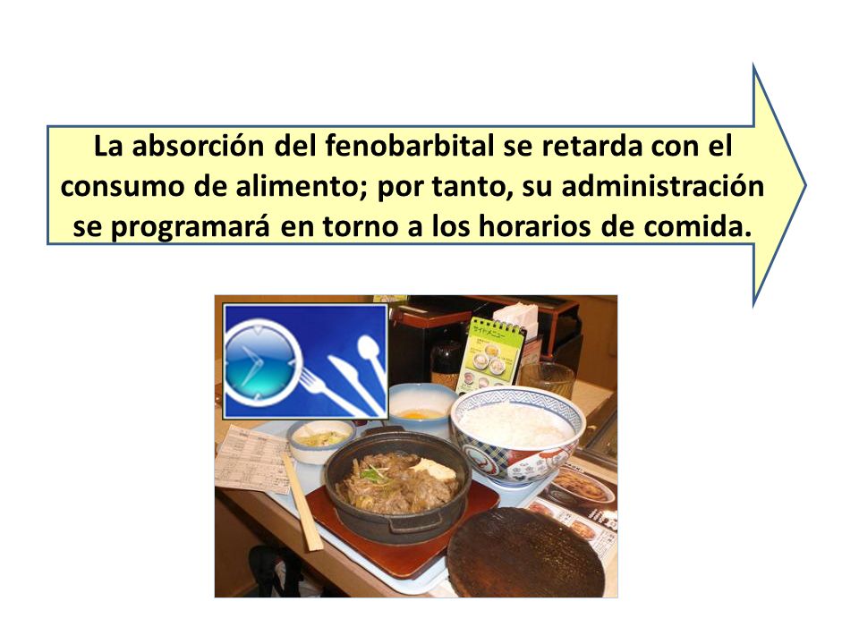 La absorción del fenobarbital se retarda con el consumo de alimento; por tanto, su administración se programará en torno a los horarios de comida.