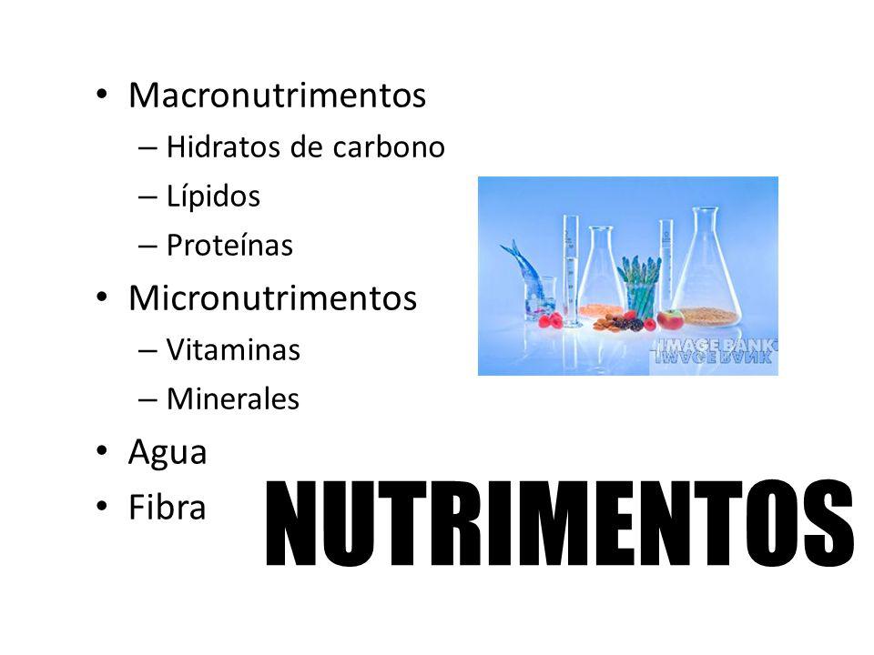 NUTRIMENTOS Macronutrimentos Micronutrimentos Agua Fibra