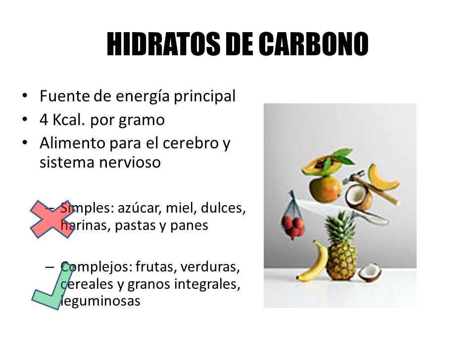 HIDRATOS DE CARBONO Fuente de energía principal 4 Kcal. por gramo