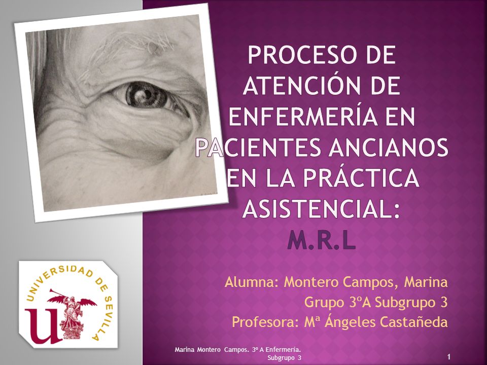 Proceso de Atención de Enfermería en pacientes ancianos en la práctica asistencial: M.R.L