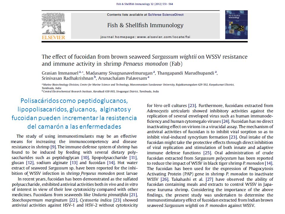 Polisacáridos como peptidoglucanos, lipopolisacaridos, glucanos, alginatos y fucoidan pueden incrementar la resistencia del camarón a las enfermedades