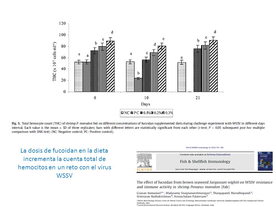 La dosis de fucoidan en la dieta incrementa la cuenta total de hemocitos en un reto con el virus WSSV