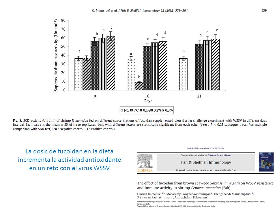 La dosis de fucoidan en la dieta incrementa la actividad antioxidante en un reto con el virus WSSV