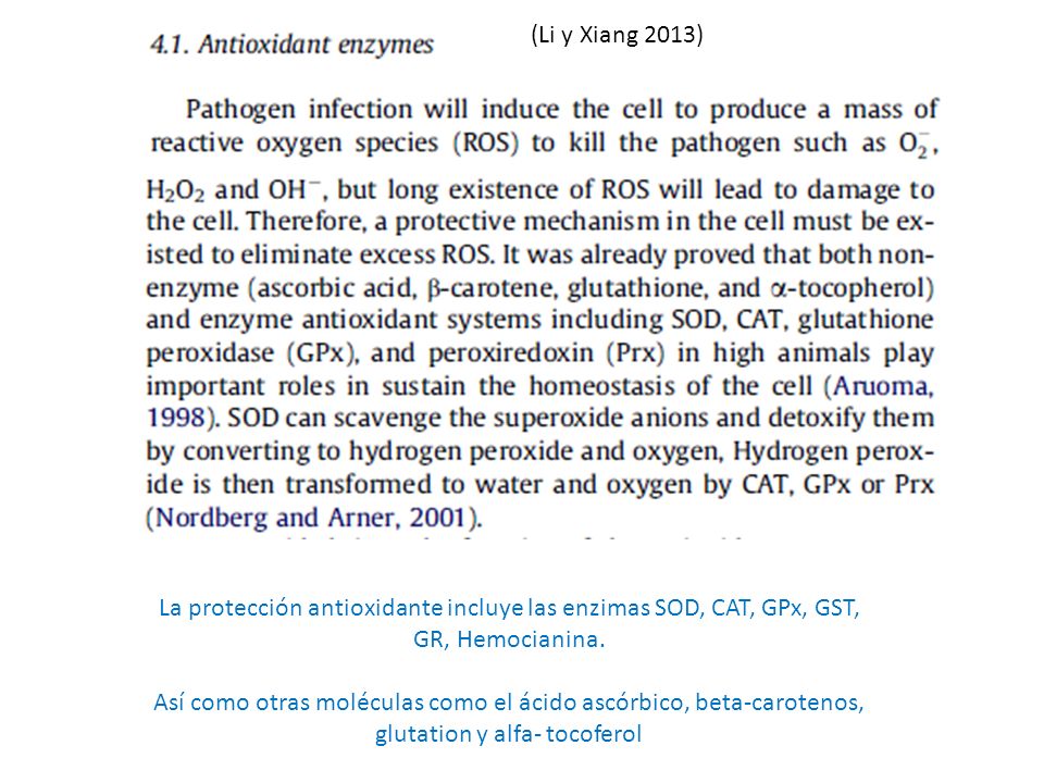 (Li y Xiang 2013) La protección antioxidante incluye las enzimas SOD, CAT, GPx, GST, GR, Hemocianina.