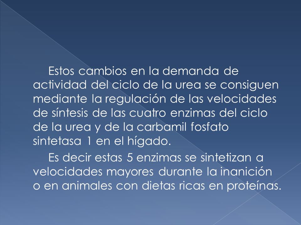 Estos cambios en la demanda de actividad del ciclo de la urea se consiguen mediante la regulación de las velocidades de síntesis de las cuatro enzimas del ciclo de la urea y de la carbamil fosfato sintetasa 1 en el hígado.