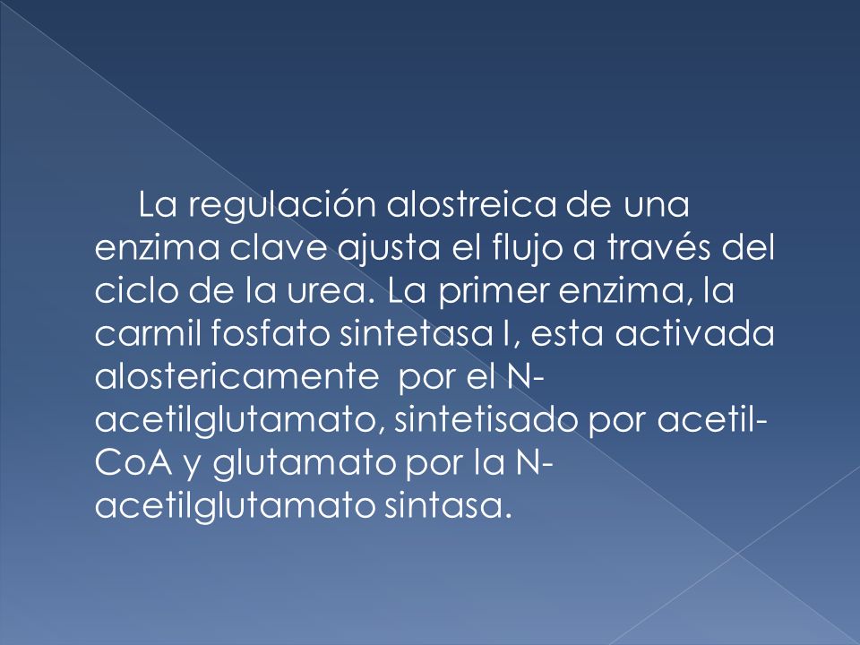 La regulación alostreica de una enzima clave ajusta el flujo a través del ciclo de la urea.