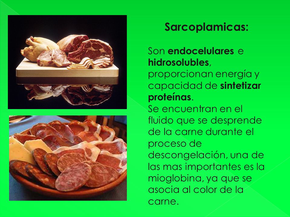 Sarcoplamicas: Son endocelulares e hidrosolubles, proporcionan energía y capacidad de sintetizar proteínas.