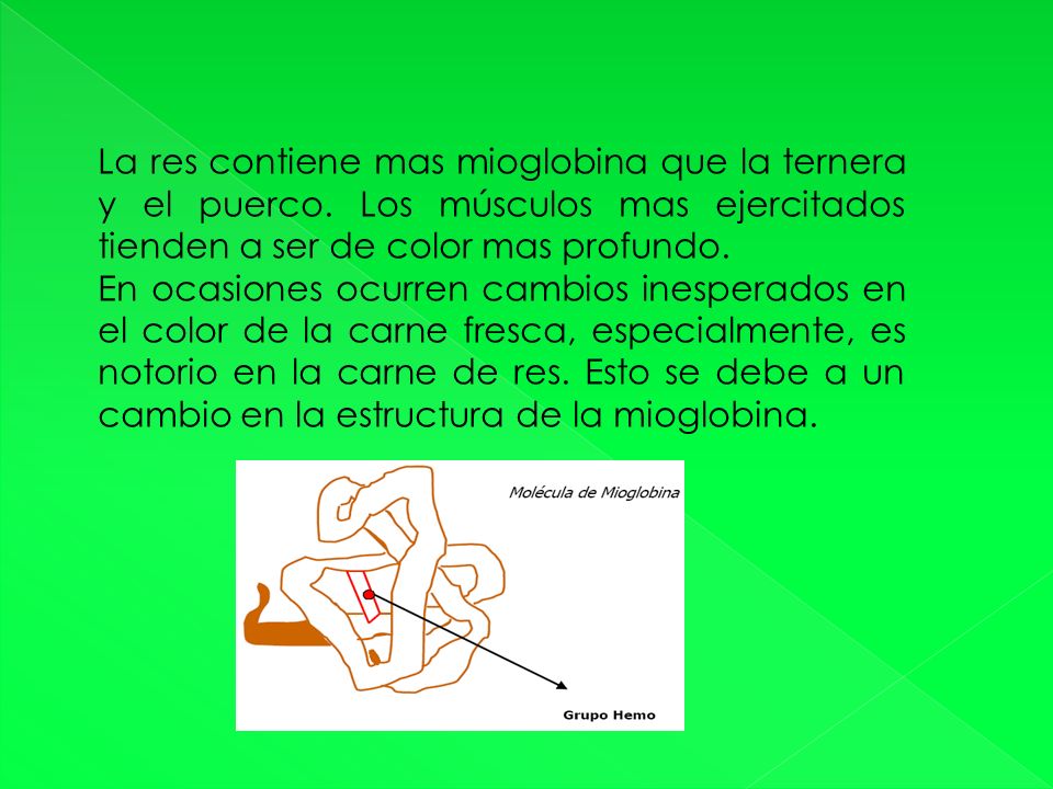 La res contiene mas mioglobina que la ternera y el puerco