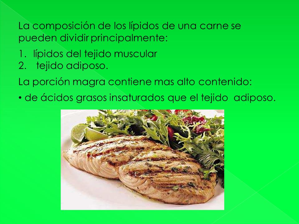 La composición de los lípidos de una carne se pueden dividir principalmente: