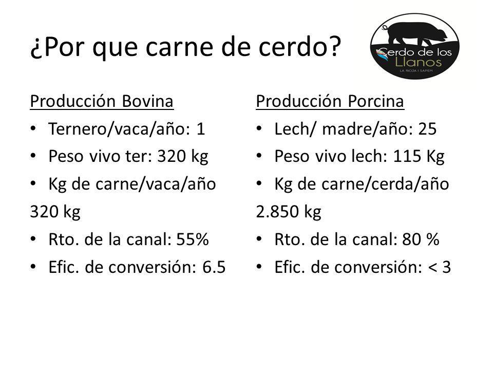 ¿Por que carne de cerdo Producción Bovina Ternero/vaca/año: 1