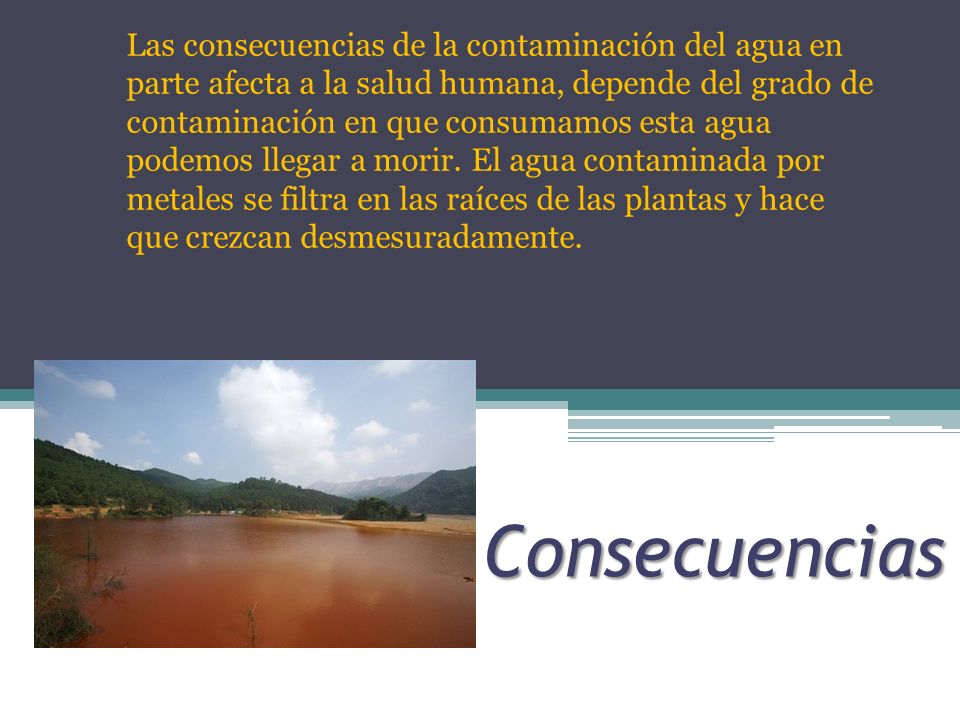 Las consecuencias de la contaminación del agua en parte afecta a la salud humana, depende del grado de contaminación en que consumamos esta agua podemos llegar a morir. El agua contaminada por metales se filtra en las raíces de las plantas y hace que crezcan desmesuradamente.