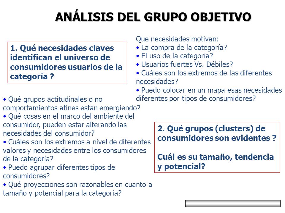 ANÁLISIS DEL GRUPO OBJETIVO