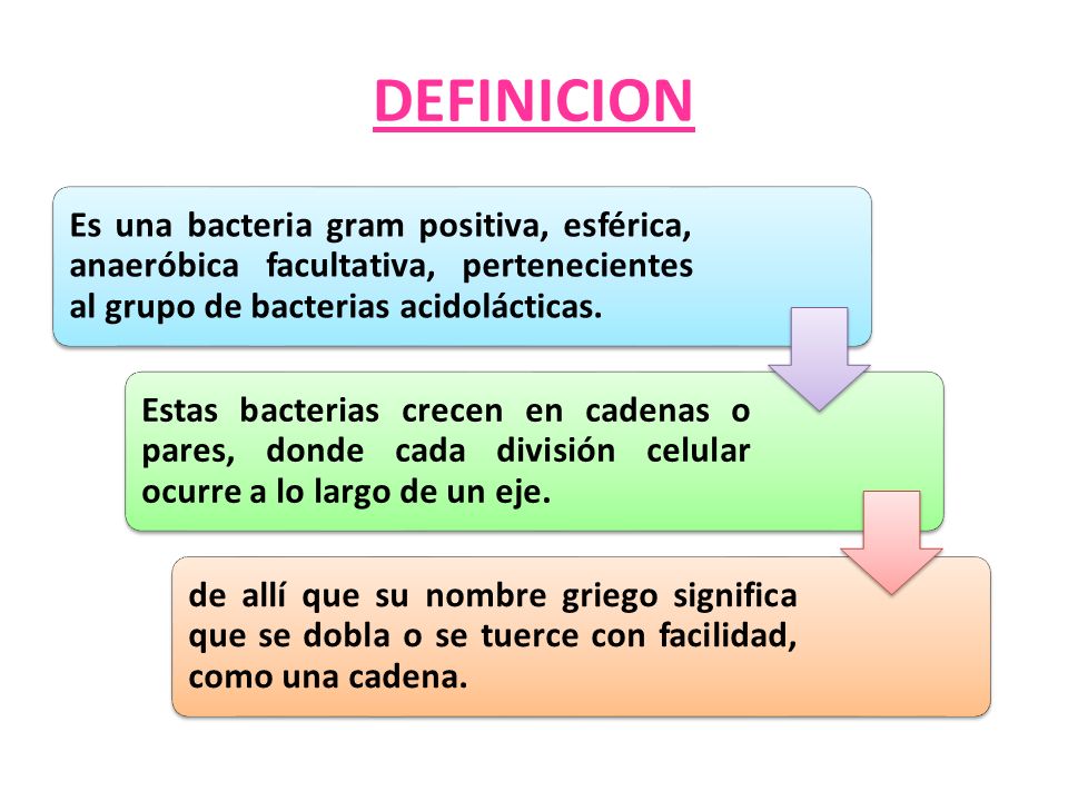DEFINICION Es una bacteria gram positiva, esférica, anaeróbica facultativa, pertenecientes al grupo de bacterias acidolácticas.