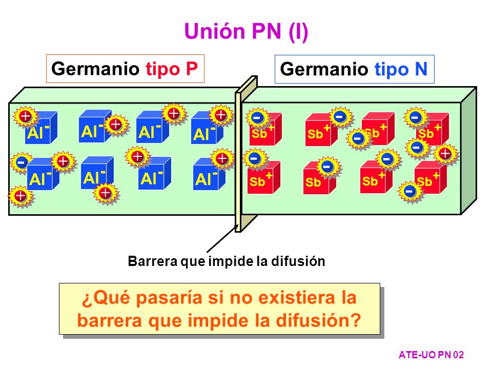 ¿Qué pasaría si no existiera la barrera que impide la difusión