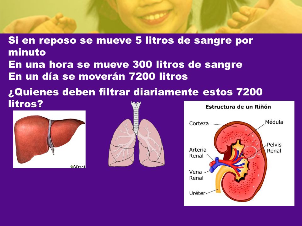 Si en reposo se mueve 5 litros de sangre por minuto